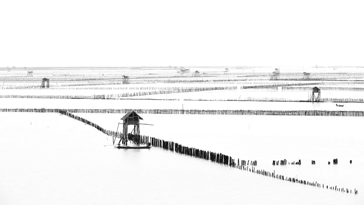 acrylic-print-shellfish-farm