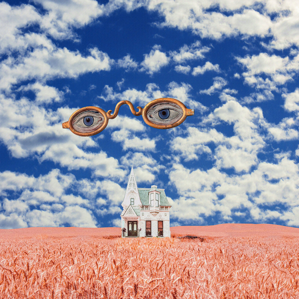 aluminium-print-floating-glasses