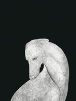 canvas-print-greyhound-black-and-white