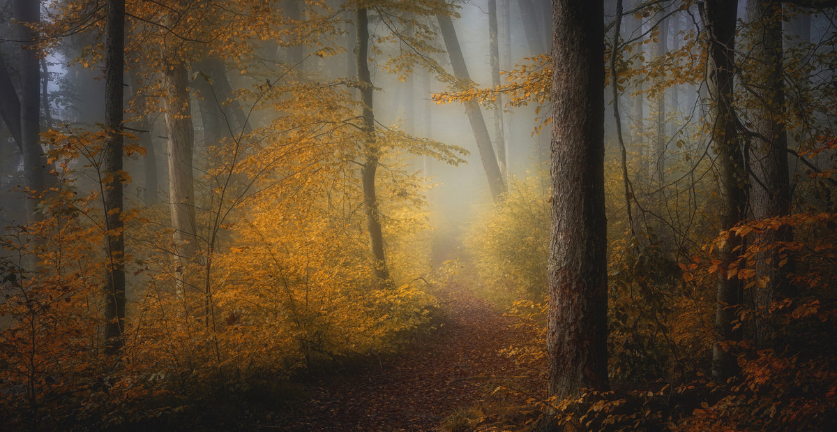 acrylic-print-in-autumn