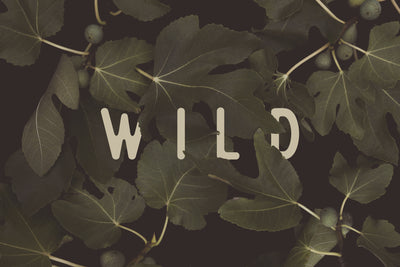poster-print-wild-n1