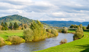 poster-print-autumnal-tranquillity-on-the-freiburg-canal