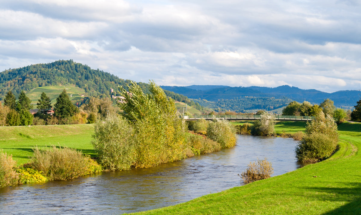 poster-print-autumnal-tranquillity-on-the-freiburg-canal