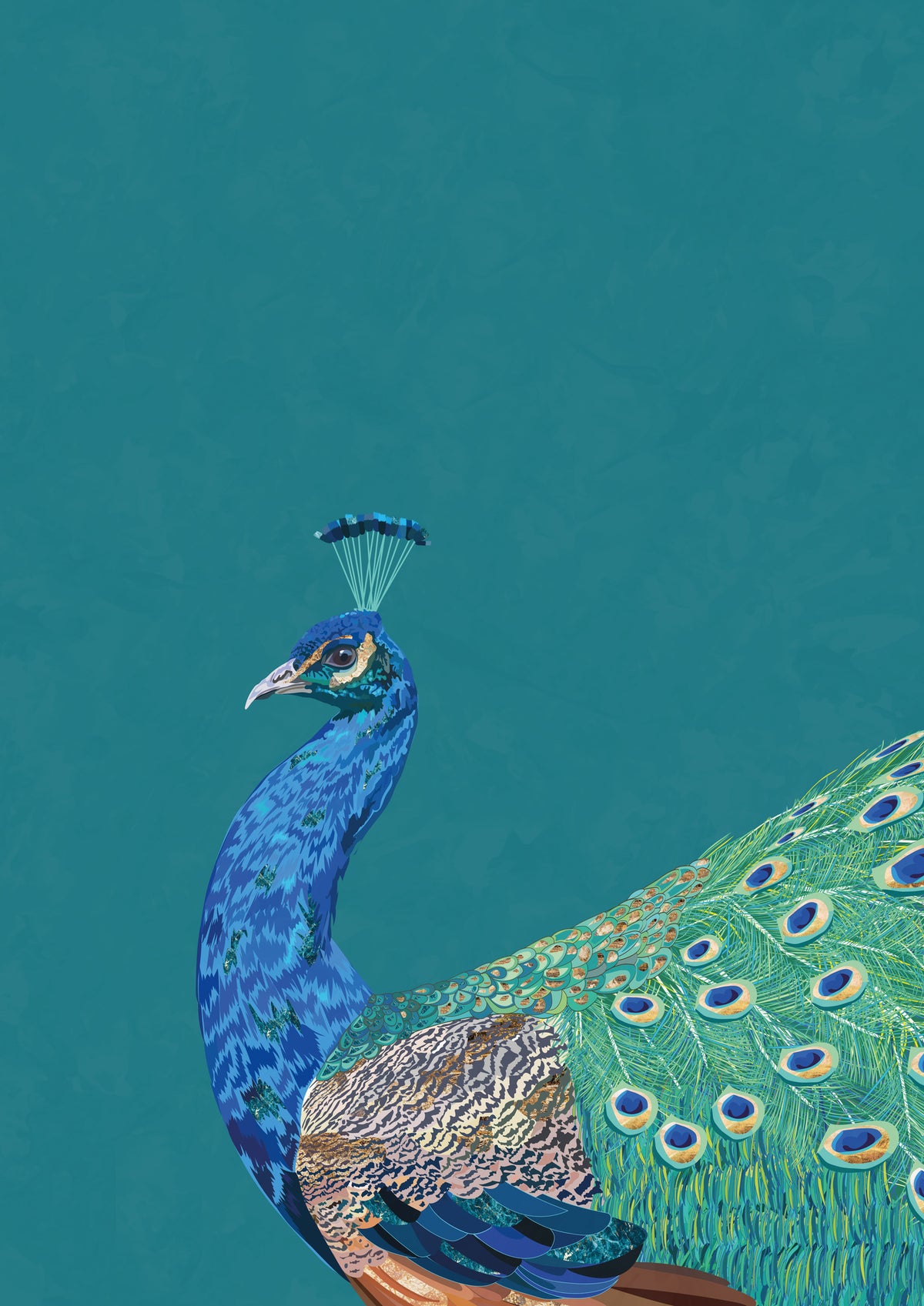 canvas-print-turquoise-peacock