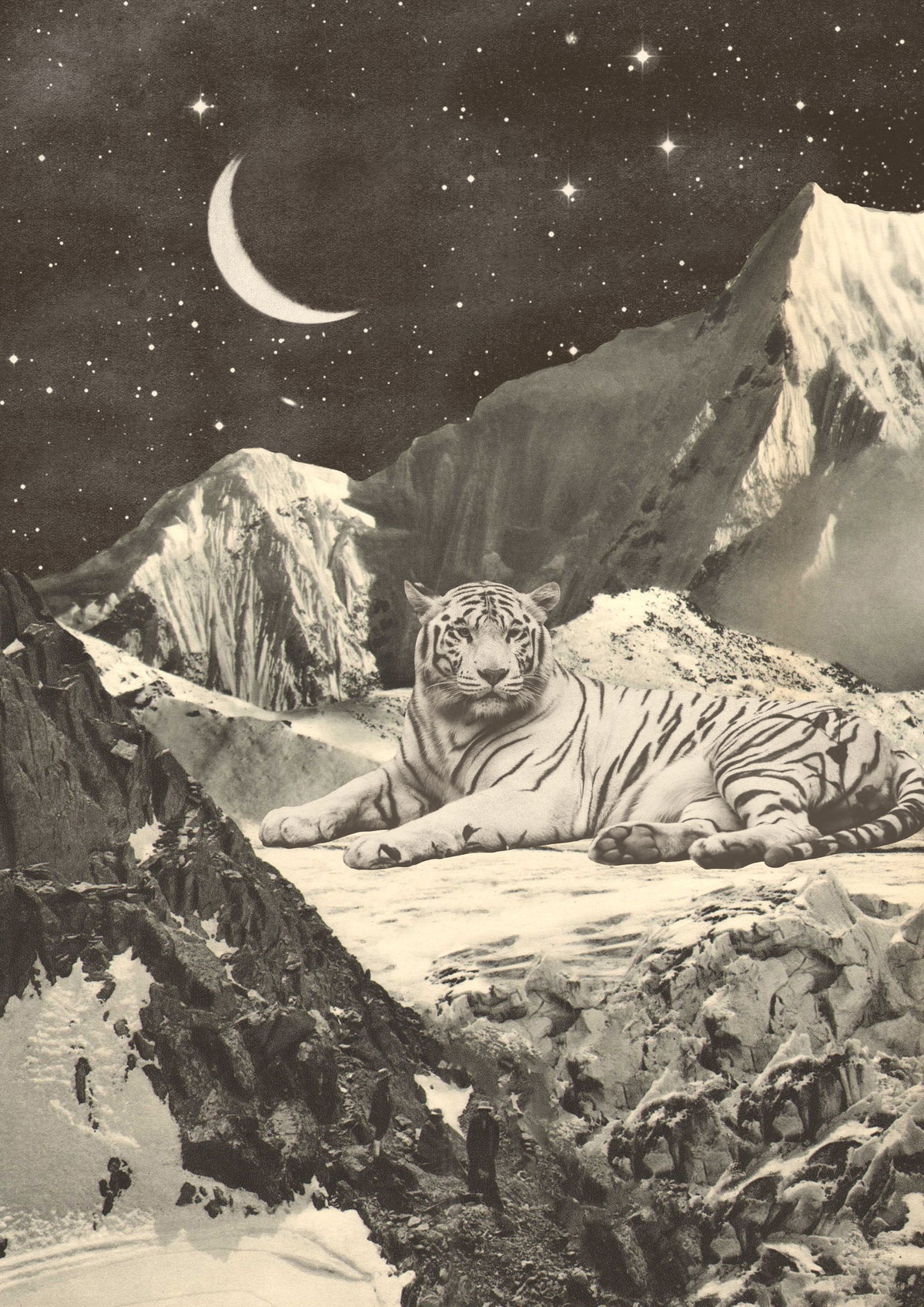 framedcanvas-print-giant-white-tiger