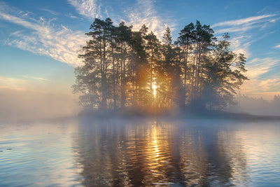poster-print-morning-light-xmh