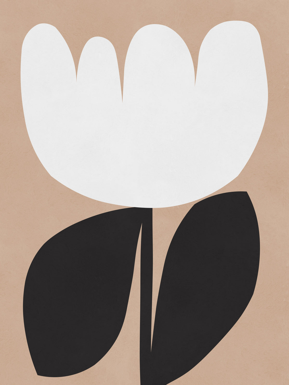 acrylic-print-expressive-flower-shapes
