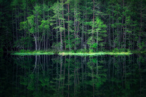 canvas-print-green-world-x