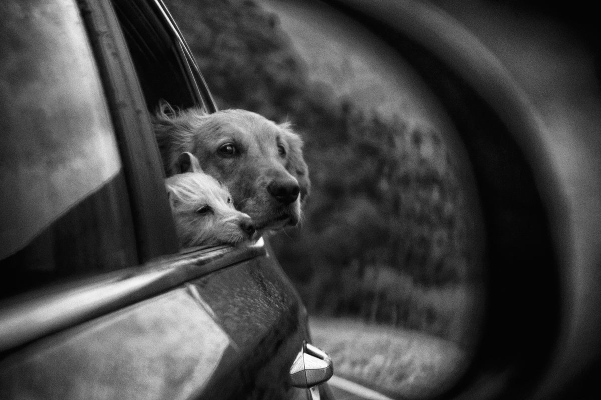 framedcanvas-print-roadtrip-x