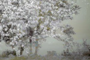 acrylic-print-spring-xep