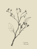 aluminium-print-floral-2
