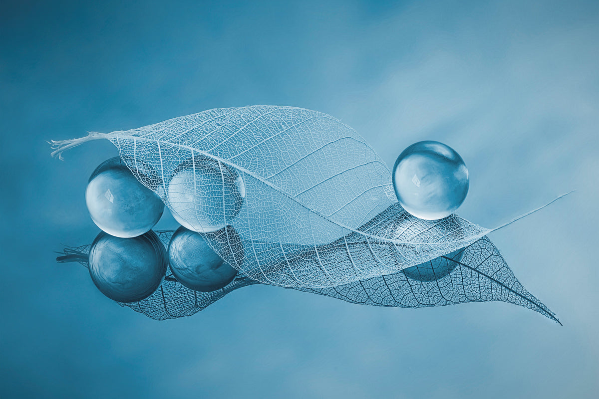 acrylic-print-dry-leaf-and-bubbles-x