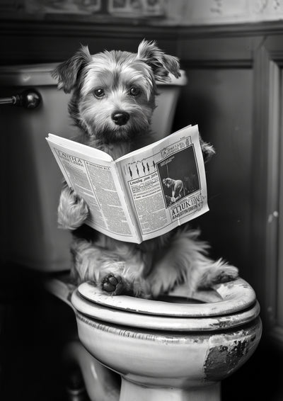 poster-print-potty-pooch