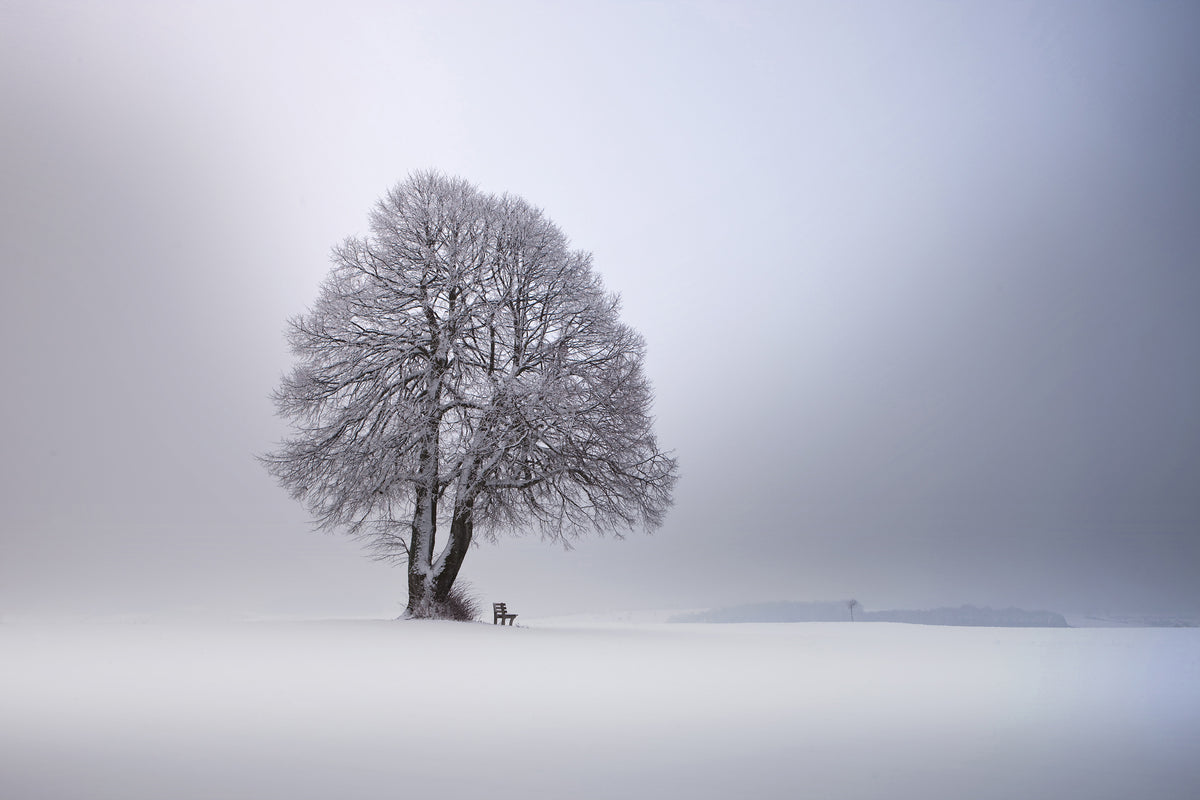 framedposter-print-winter-light-xpy