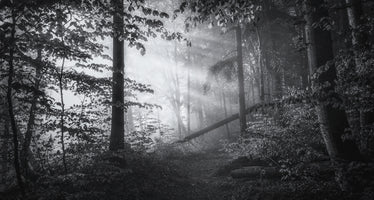 canvas-print-point-of-no-return