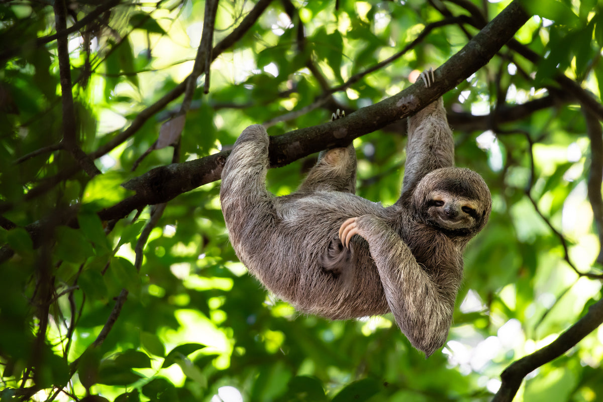 poster-print-relaxed-hanging-out