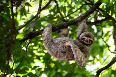 poster-print-relaxed-hanging-out