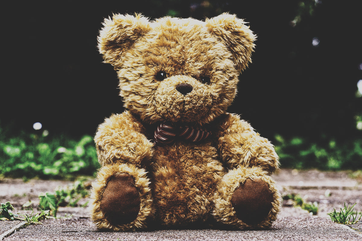 framedposter-print-love-teddy