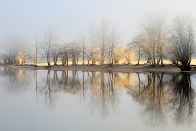 poster-print-january-morning