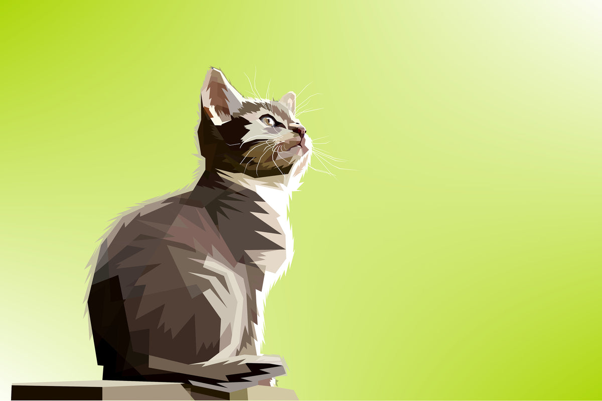 acrylic-print-pop-art-cat-xl
