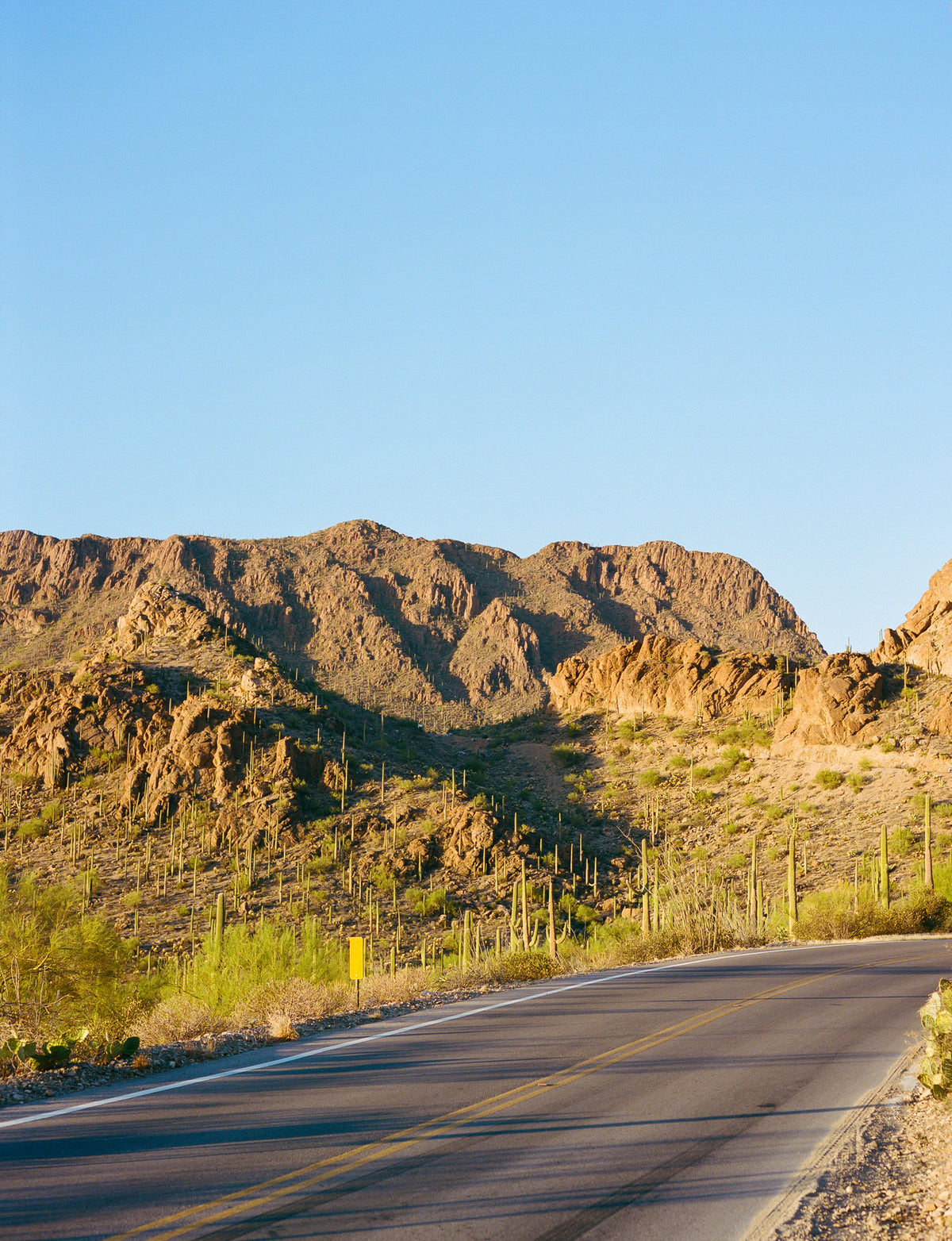 canvas-print-saguaro-national-park-on-film