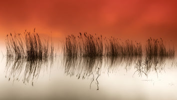 5-piece-canvas-print-serenity-2