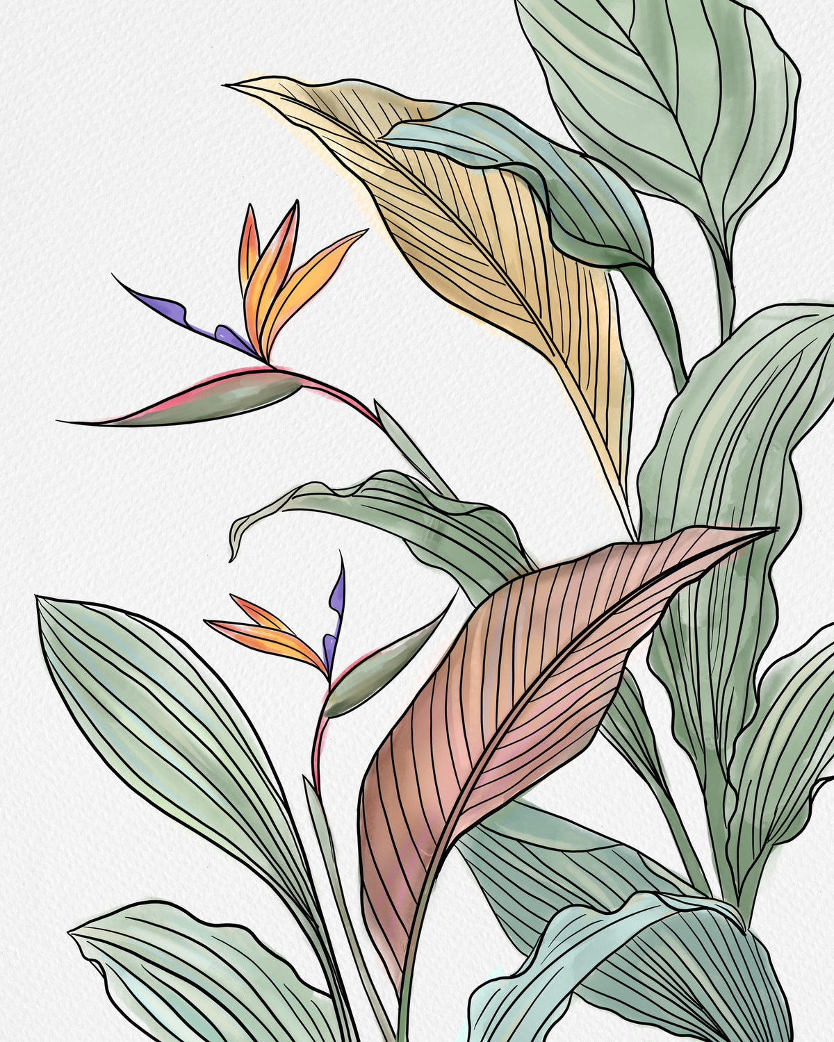 framedposter-print-brids-of-paradise