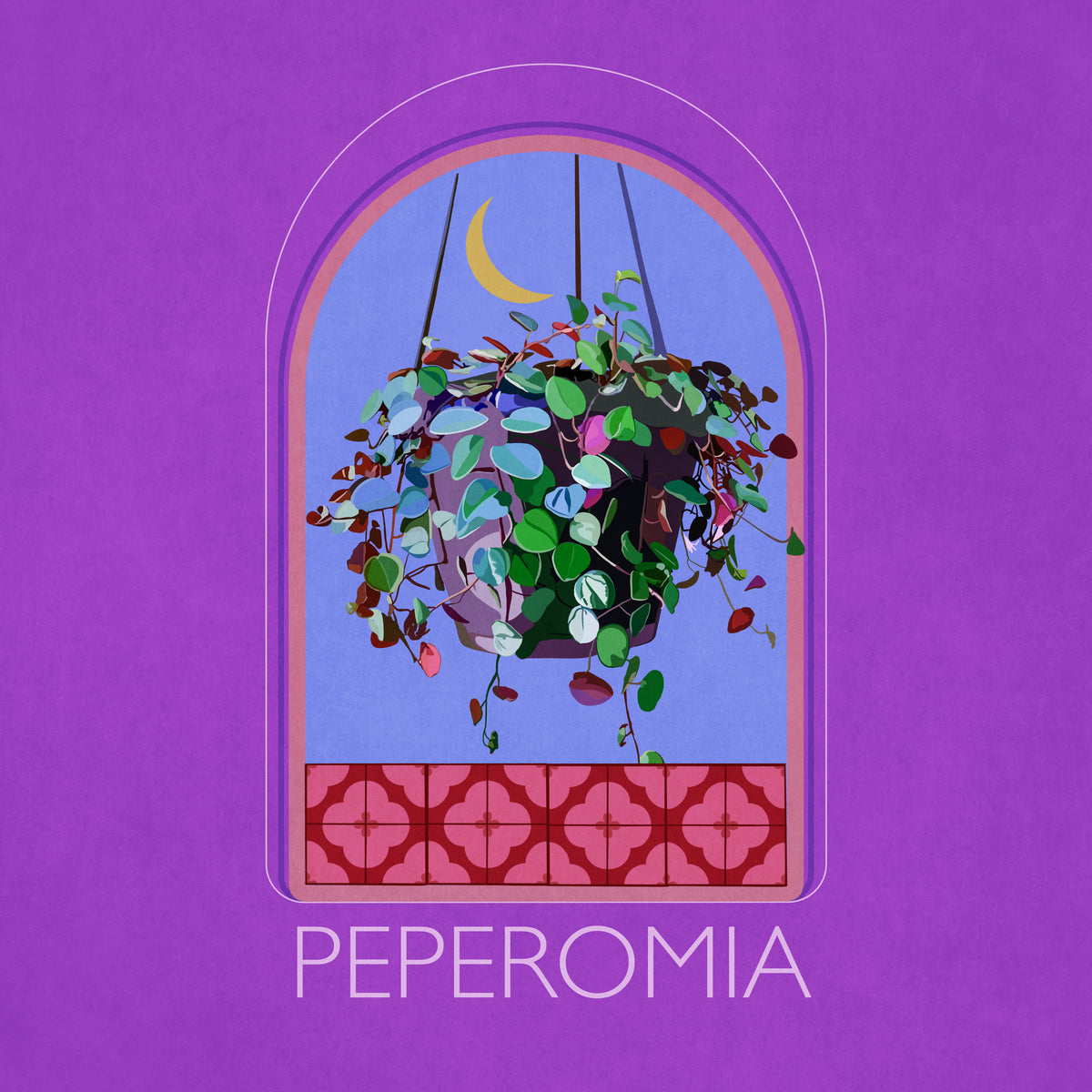 canvas-print-green-sets-peperomia