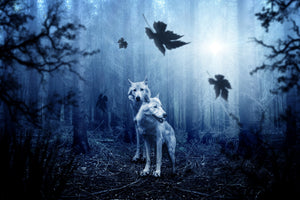 framedposter-print-wolf39s-couple