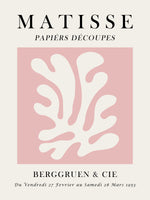 poster-print-matisse-floral-art-5