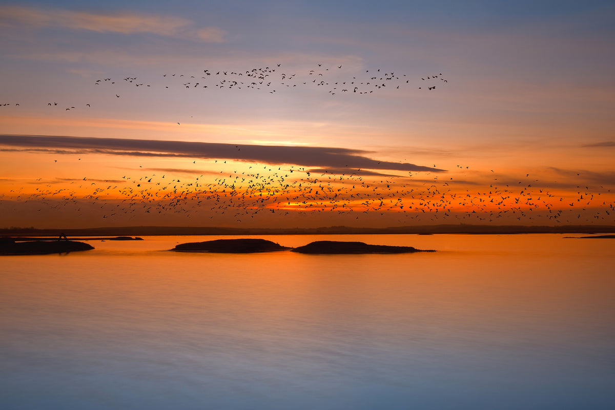framedcanvas-print-by-sunset