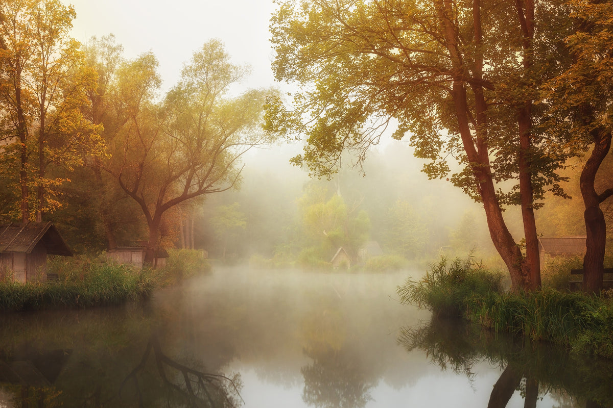 framedcanvas-print-foggy-autumn-x