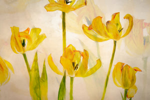 framedposter-print-flowering-tulips
