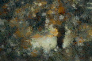 canvas-print-look-through-2