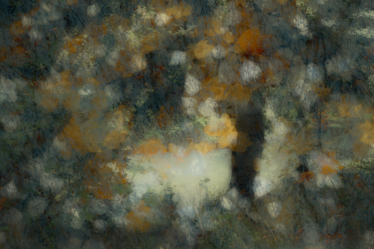 canvas-print-look-through-2