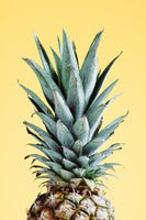 poster-print-pineapple-yellow-03