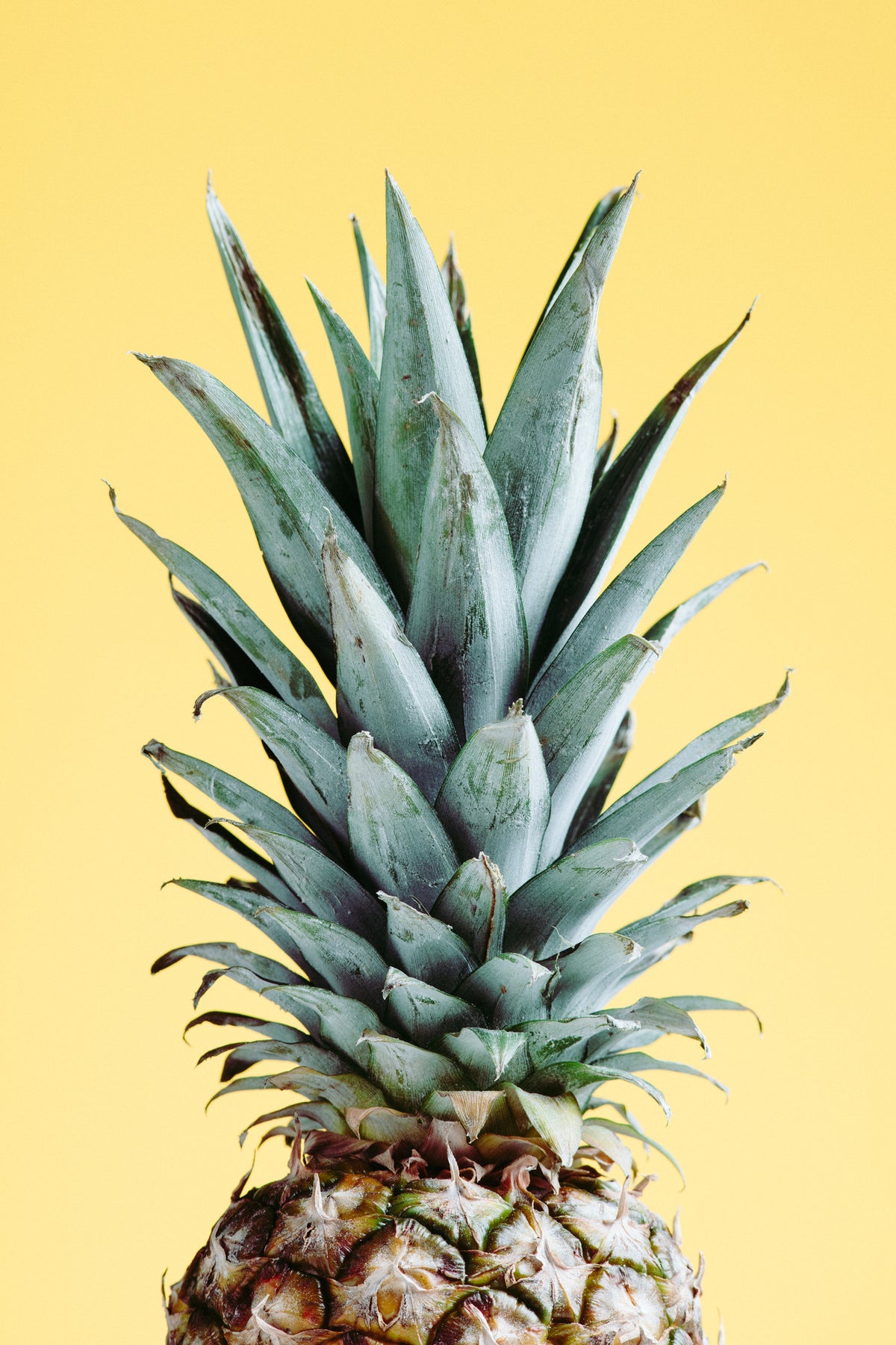 poster-print-pineapple-yellow-03