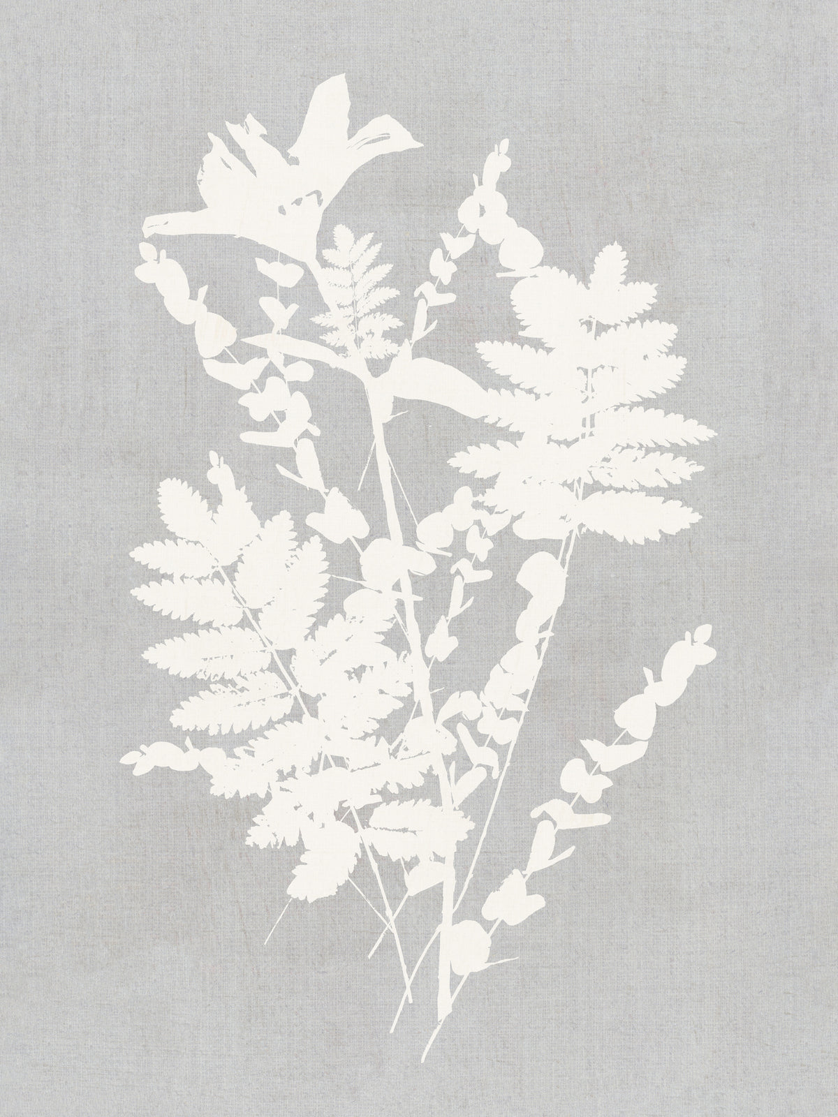 canvas-print-botanical-illustration-5