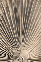 aluminium-print-solaris-07