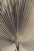 aluminium-print-palmblad-001