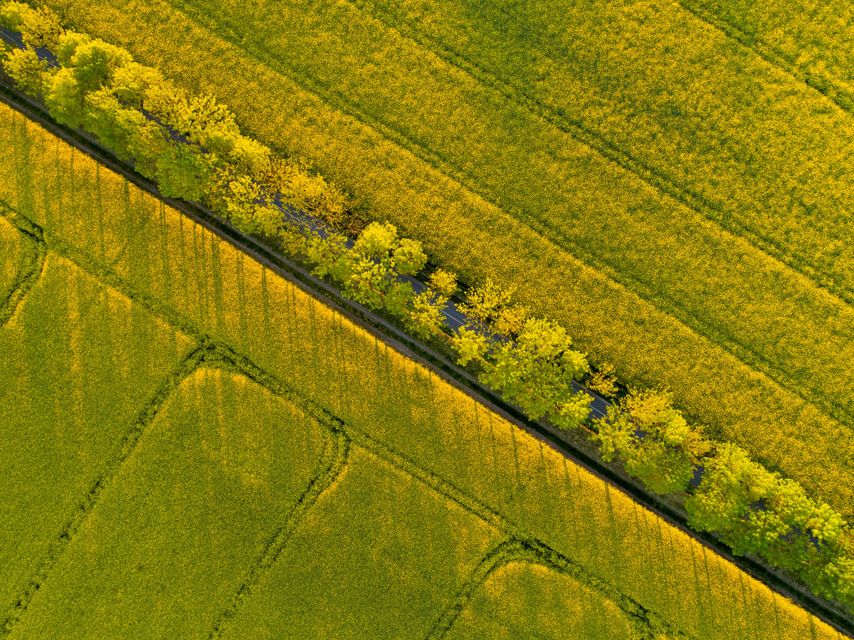modern-4-piece-aluminium-print-through-the-fields