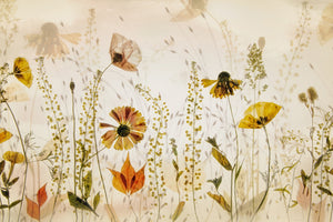 canvas-print-in-the-field-x