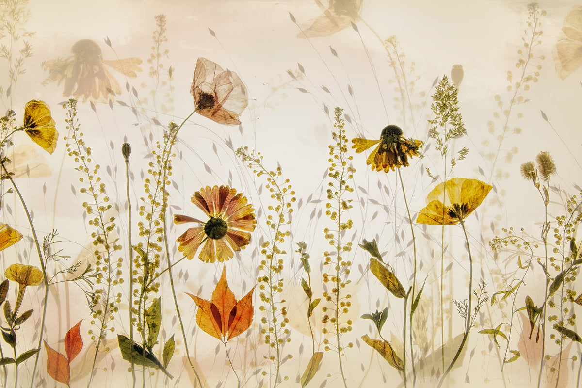 canvas-print-in-the-field-x