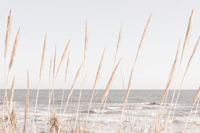 poster-print-beach-vass-002