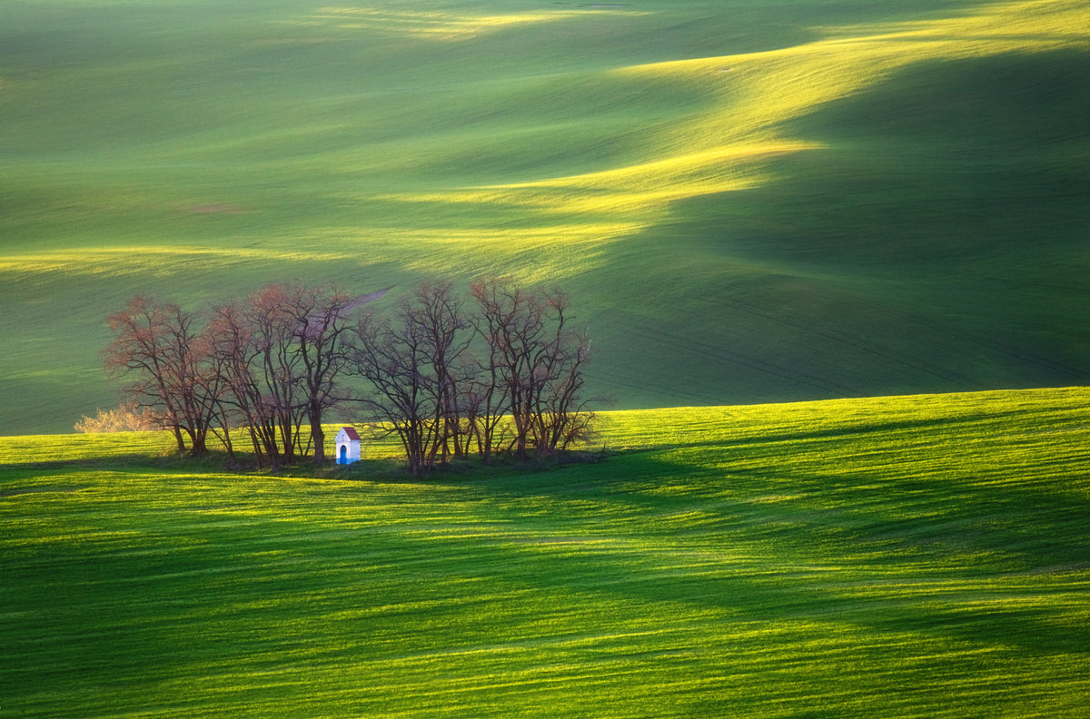 framedposter-print-fields-3