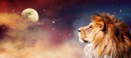 poster-print-african-lion-and-moon