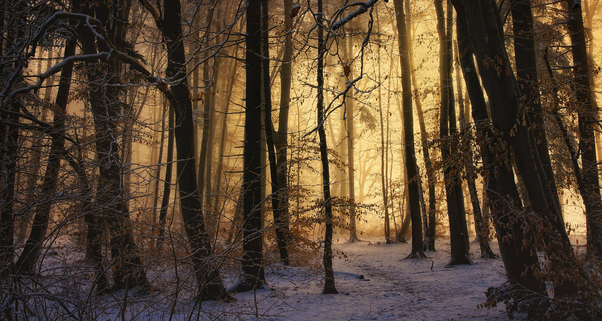 aluminium-print-first-snow-2