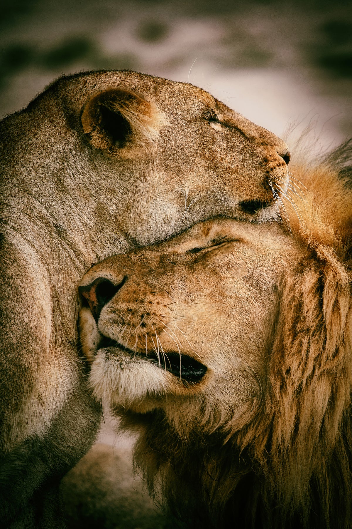 acrylic-print-what-is-love-x