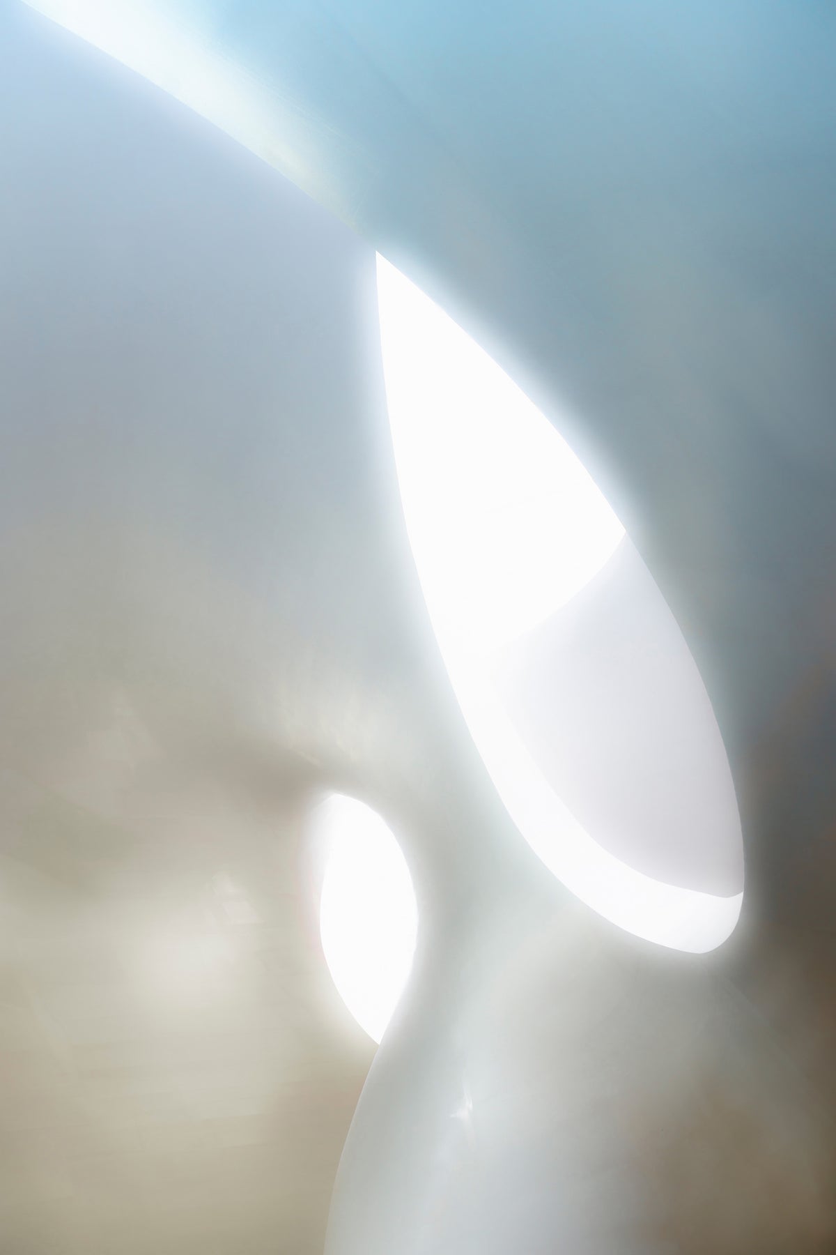 acrylic-print-organic-shapes