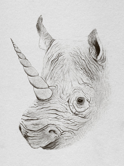poster-print-rhinoplasty